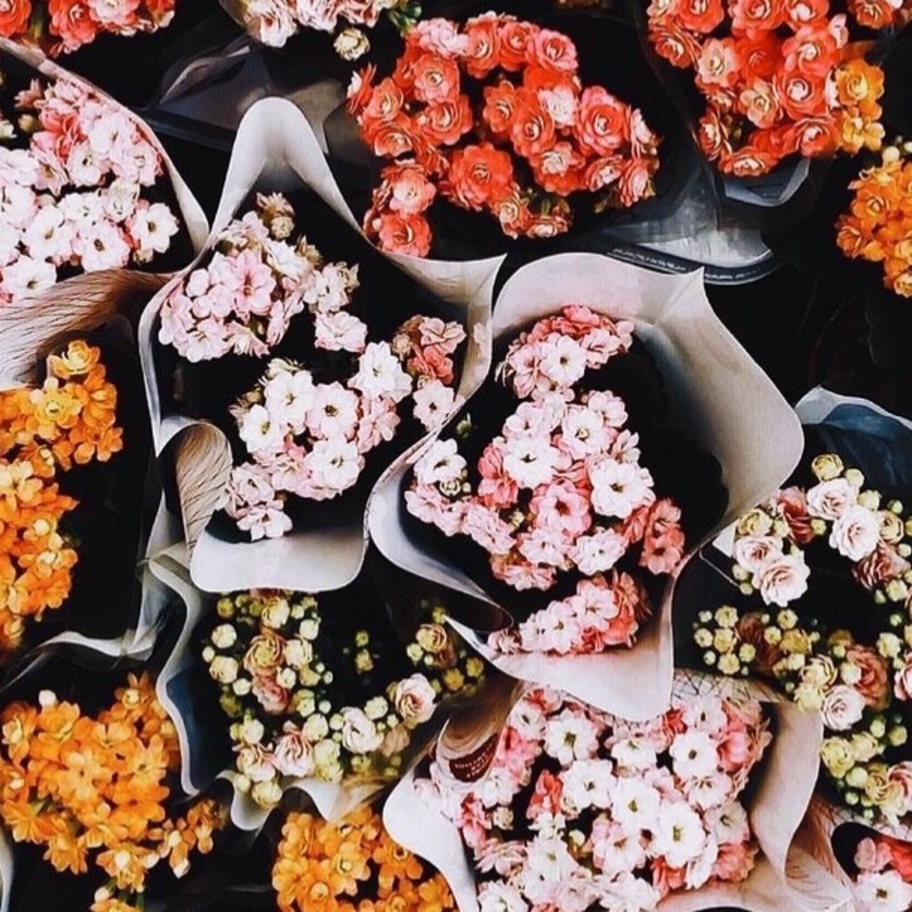 Meet your Posher, Meg